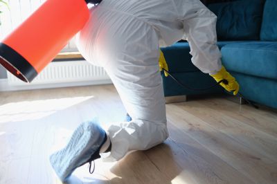 Commercial Fumigation in Wilmington, NC