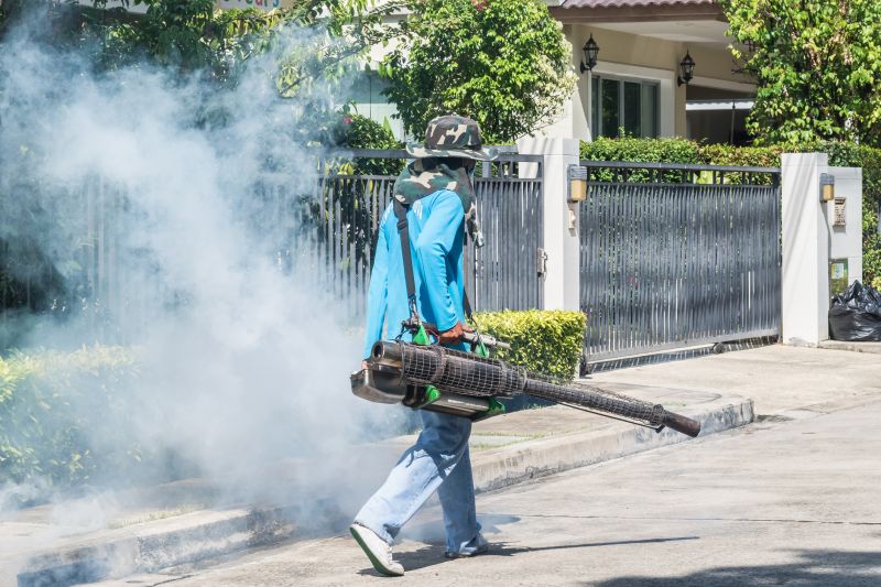 Spider Fumigation Service in San Jose, CA