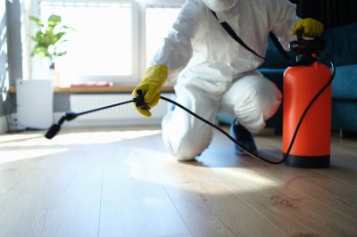 Hobo Spider Extermination in Rockwall, TX