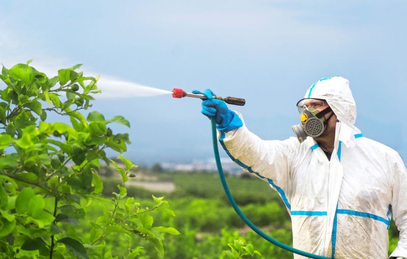 Spider Fumigation Service in Winston Salem, NC